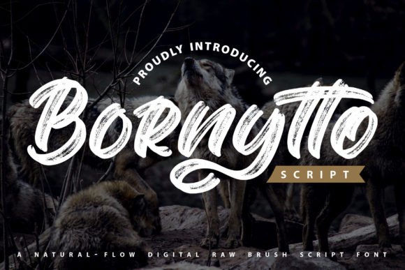 Bornytto Font for Campaign Designs That Stop the Scroll