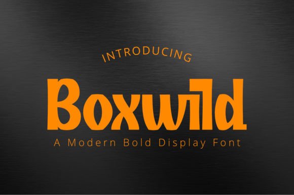 Boxwild Display Font for Digital Design and Brand Identity
