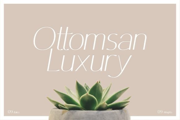 Ottomsan Display Font for Elegant Small Business Branding