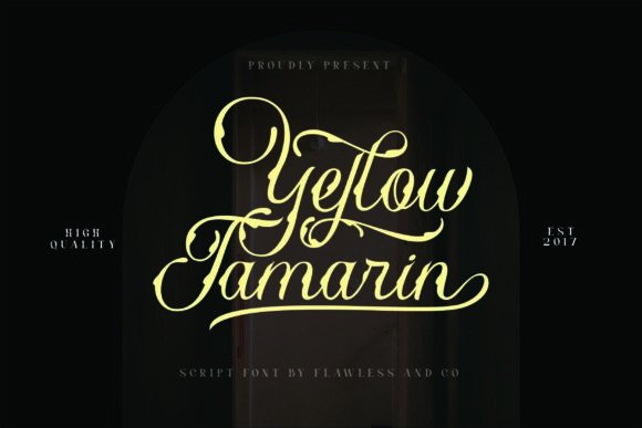 Yellow Tamarin: A Display Font for Bold Web and Product Design